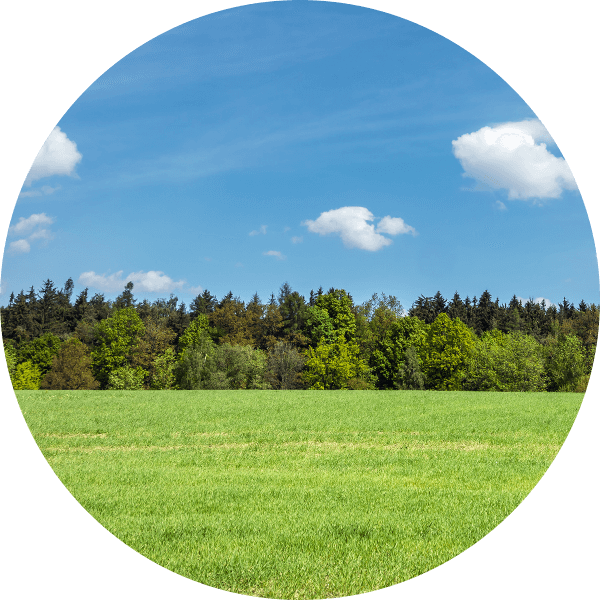 Terrain disponible en Clarensac (30870)